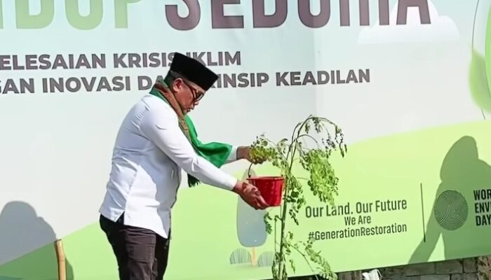 Memperingati Hari Lingkungan Hidup Sedunia, Bupati Pelalawan Tanam Pohon Kelor Bersama Forkopimda