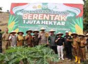 Kantor Pertanahan Agam Dukung Ketahanan Pangan melalui Penanaman Jagung Serentak di 1 Juta Hektar