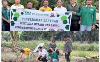 GridArt_20250223_114412795_11zon