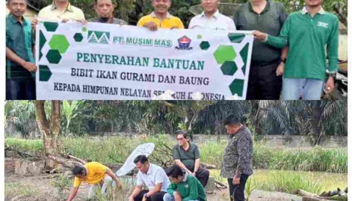 Dukung Ekonomi Masyarakat, PT Musim Mas Salurkan Ribuan Bibit Ikan untuk Nelayan Pangkalan Lesung