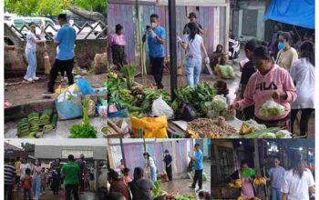 GridArt_20250329_202455492_11zon