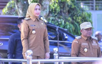 IMG-20250311-WA0121(1)