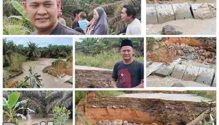 Jalan Putus ke PKS dan Rumah Warga Terendam Banjir di Desa Dusun Tua, DPRD Pelalawan Desak Perbaikan Demi Kesejahteraan Masyarakat