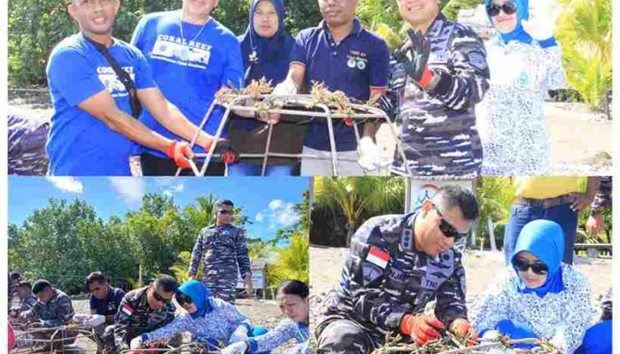 Danlanal Maumere Gandeng BBKSDA NTT Rehabilitasi Terumbu Karang di Laut Flores
