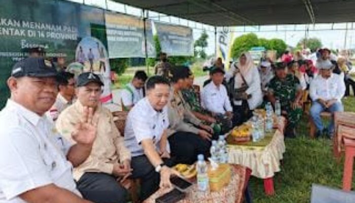 Kades Mataram: Petani Semangat Tanam Serempak, Dukungan Pemkab Mura dan Presiden Jadi Motivasi
