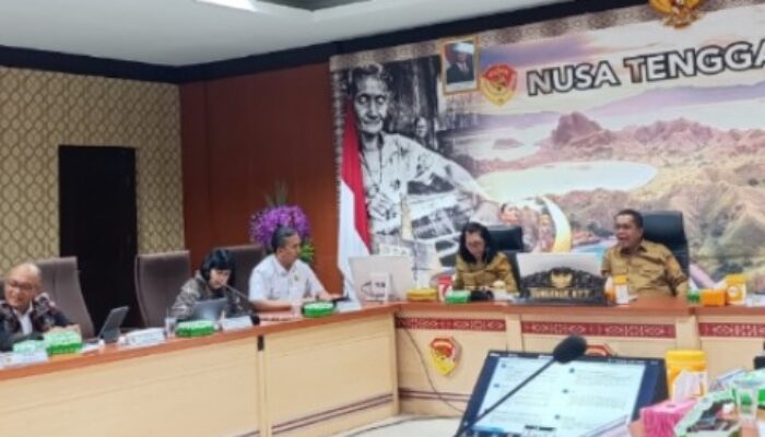 Menyikapi Pertemuan Dirjen EBTKE Kementerian ESDM Terkait Pengembangan Geothermal di Pulau Flores