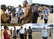 Percepat Swasembada Pangan, Wapres Gibran Turun ke Sawah Dengarkan Keluh Kesah Petani Sikka