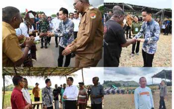 Percepat Swasembada Pangan, Wapres Gibran Turun ke Sawah Dengarkan Keluh Kesah Petani Sikka GridArt_20250507_060817499_11zon