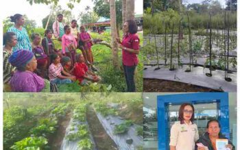 Cinta Tanpa Upah: Kisah Pendamping PKH yang Rela Lelah Demi Harapan Orang Miskin GridArt_20250509_024603904_11zon