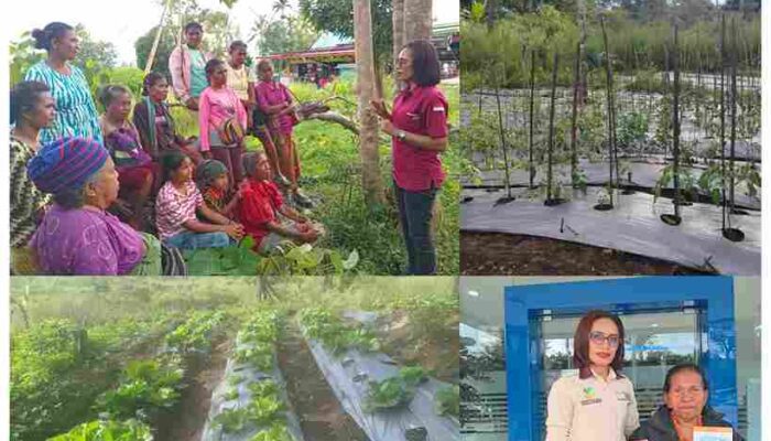 Cinta Tanpa Upah: Kisah Pendamping PKH yang Rela Lelah Demi Harapan Orang Miskin
