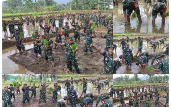 GridArt_20250517_193716447_11zon