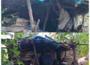 Tinggal di Bantaran Gunung, Bungaria dan Anaknya yang Alami Gangguan Jiwa Butuh Uluran Tangan