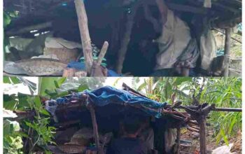 GridArt_20250523_191806833_11zon