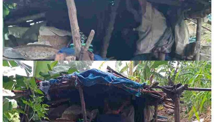 Tinggal di Bantaran Gunung, Bungaria dan Anaknya yang Alami Gangguan Jiwa Butuh Uluran Tangan