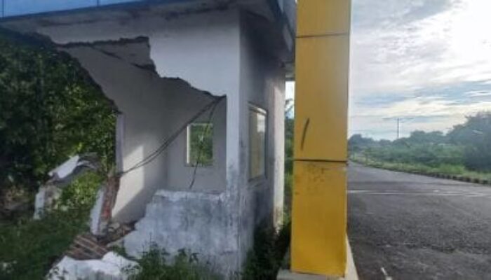 Terbengkalai! Terminal Rp12,9 Miliar di Manado Kini Ditumbuhi Rumput. Proyek Megah Jadi Monumen Kegagalan Infrastruktur