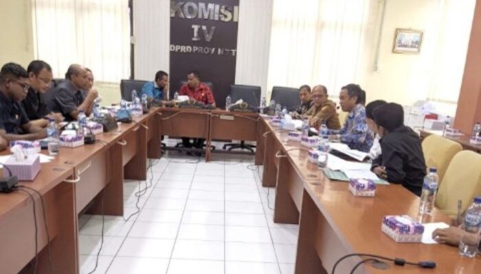 Ombudsman NTT Hadiri RDP Komisi IV DPRD: Tiga Sorotan Kritis Soal Transportasi Online di Kupang