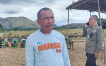 Wapres Gibran Serahkan Alsintan di Sawah Petani Kecil Magepanda: "Saya Sangat Bersyukur dan Bahagia" Suasana pembagian bantuan oleh wapres Gibran Rakabuming ke warga megapensa kepada petani sawah yang merasa sangat bersyukur dan bahagia