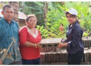 Rumah Reyot Mama Martina Disorot Publik. KADIN Sikka Bantu Bahan Bangunan, Haru Warnai Penyerahan Bantuan