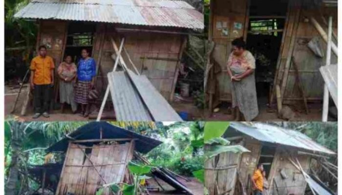 Tangis di Rumah Reyot: Mama Martina, Janda Miskin di Sikka yang 6 Tahun Bertahan di Rumah Nyaris Roboh