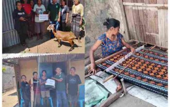 Dua Maria ODDP Asal Sikka Dapat Bantuan, Tersenyum Kembali Berkat Yayasan PAPHA! Kesibukan dua Maria saat menyulam kain tenun dan langsung di perhatikan lagi oleh yayasan papha dan juga memberikan bantuan