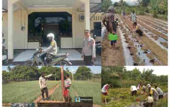 Seorang polisi yang mengabdi sepenuh hati di sikka yang kegiatannya sangat membantu masyarakat yaitu Aipda hironimus