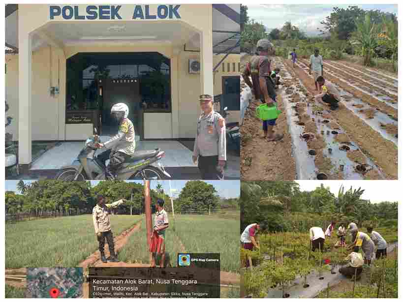 Seorang polisi yang mengabdi sepenuh hati di sikka yang kegiatannya sangat membantu masyarakat yaitu Aipda hironimus