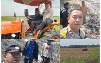 Pembukaan lahan padi jagung oleh Polsek Kronjo dan warga di ajak untuk bangun kedaulatan pangan.