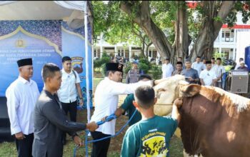 Fhoto pemotongan sapi di idul adha