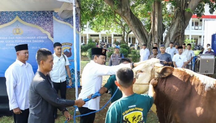 Polda Jateng Sembelih 808 Hewan Kurban, Ribuan Paket Daging Dibagikan ke Warga