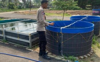 Bhabinkamtibmas Kronjo Ajak Warga Budidaya Lele: Ketahanan Pangan Dimulai dari Kolam Ikan Desa Babhinkamtibmas Kronjo meninjau lokasi budidaya lele dan kolam ikan masyarakat