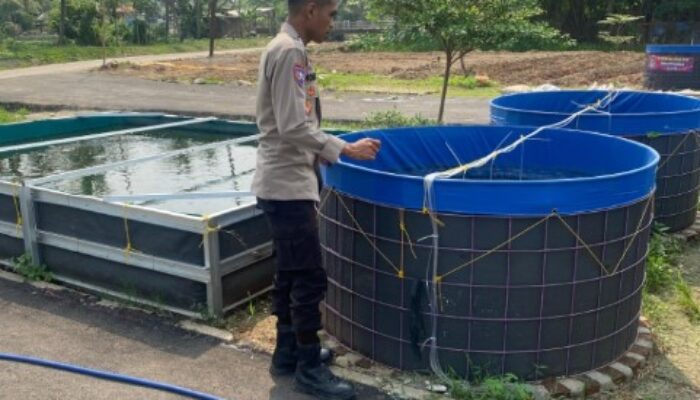 Bhabinkamtibmas Kronjo Ajak Warga Budidaya Lele: Ketahanan Pangan Dimulai dari Kolam Ikan Desa