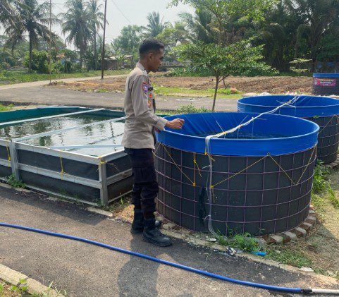 Babhinkamtibmas Kronjo meninjau lokasi budidaya lele dan kolam ikan masyarakat