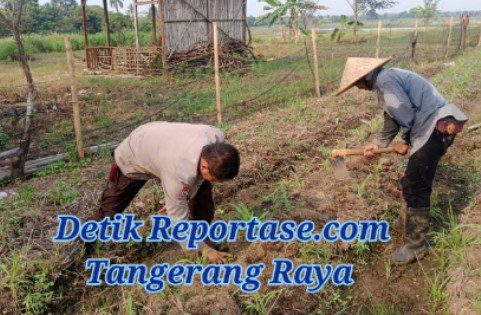 Monitoring polusi saat melihat program ketahanan pangan di desa binaan