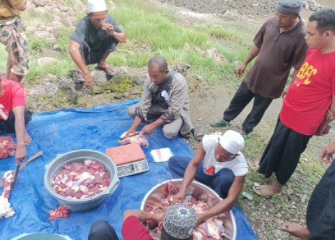 Fhoto suasana penyembelihan dan pembungkusan daging korban saat idul adha di kabupaten sikka