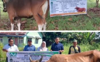 Screenshot_2025_0617_094350