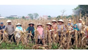 Screenshot_2025_0617_095939