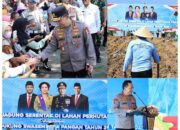 Kapolri Tanam Jagung di 795 Ribu Hektare, Dukung Swasembada Pangan Nasional