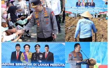 GridArt_20250709_191049841_11zon