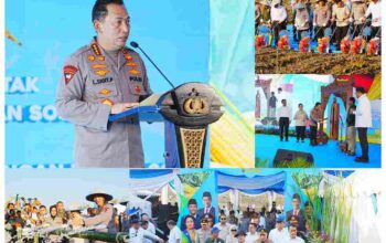 GridArt_20250710_135536714_11zon