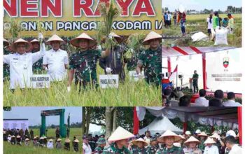 Dukung Swasembada Pangan, Panglima TNI Panen Raya Padi 80 Hektar di Deli Serdang