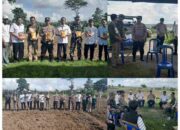 Kapolsek Tempe Tanam Jagung Bareng Petani: Sinergi Polri dan Masyarakat Wujudkan Ketahanan Pangan