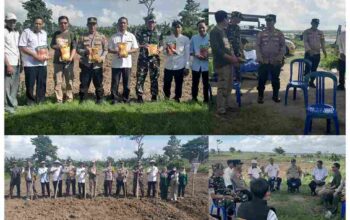 Kapolsek Tempe Tanam Jagung Bareng Petani: Sinergi Polri dan Masyarakat Wujudkan Ketahanan Pangan