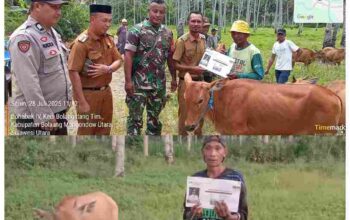 Pemdes Bohabak 4 Serahkan 15 Ekor Sapi dari Dana Desa untuk Warga Tiga Dusun