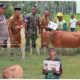 Pemdes Bohabak 4 Serahkan 15 Ekor Sapi dari Dana Desa untuk Warga Tiga Dusun