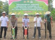 Kapolres Wajo Pimpin Penanaman Jagung Kuartal III, Dukung Swasembada Pangan Lewat Optimalisasi Lahan Perhutanan Sosial