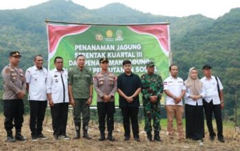 Polres Soppeng Tanam Jagung Serentak di Lahan Perhutanan Sosial, Dukung Swasembada Pangan 2025 Polres Soppeng Tanam Jagung Serentak di Lahan Perhutanan Sosial, Dukung Swasembada Pangan 2025