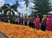 Panen Jagung ASTACITA Polres Soppeng di Lilirilau: Dari Lahan Institusi Menuju Ketahanan Pangan Berkelanjutan