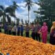 Panen Jagung ASTACITA Polres Soppeng di Lilirilau: Dari Lahan Institusi Menuju Ketahanan Pangan Berkelanjutan