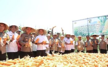 Uji Petik Ketahanan Pangan di Tanralili: Polres Maros Siap Kawal Program Sampai ke Akar