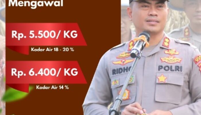 Harga Jelas, Jagung Laris! Polda Sulsel Sosialisasi Harga Beli Jagung Petani Rp5.500 dan Rp6.400 per Kg Lewat Medsos